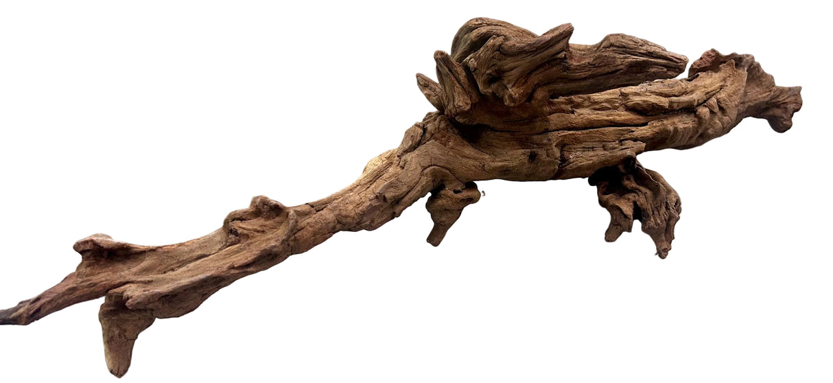 Malaysian Mangrove Wood