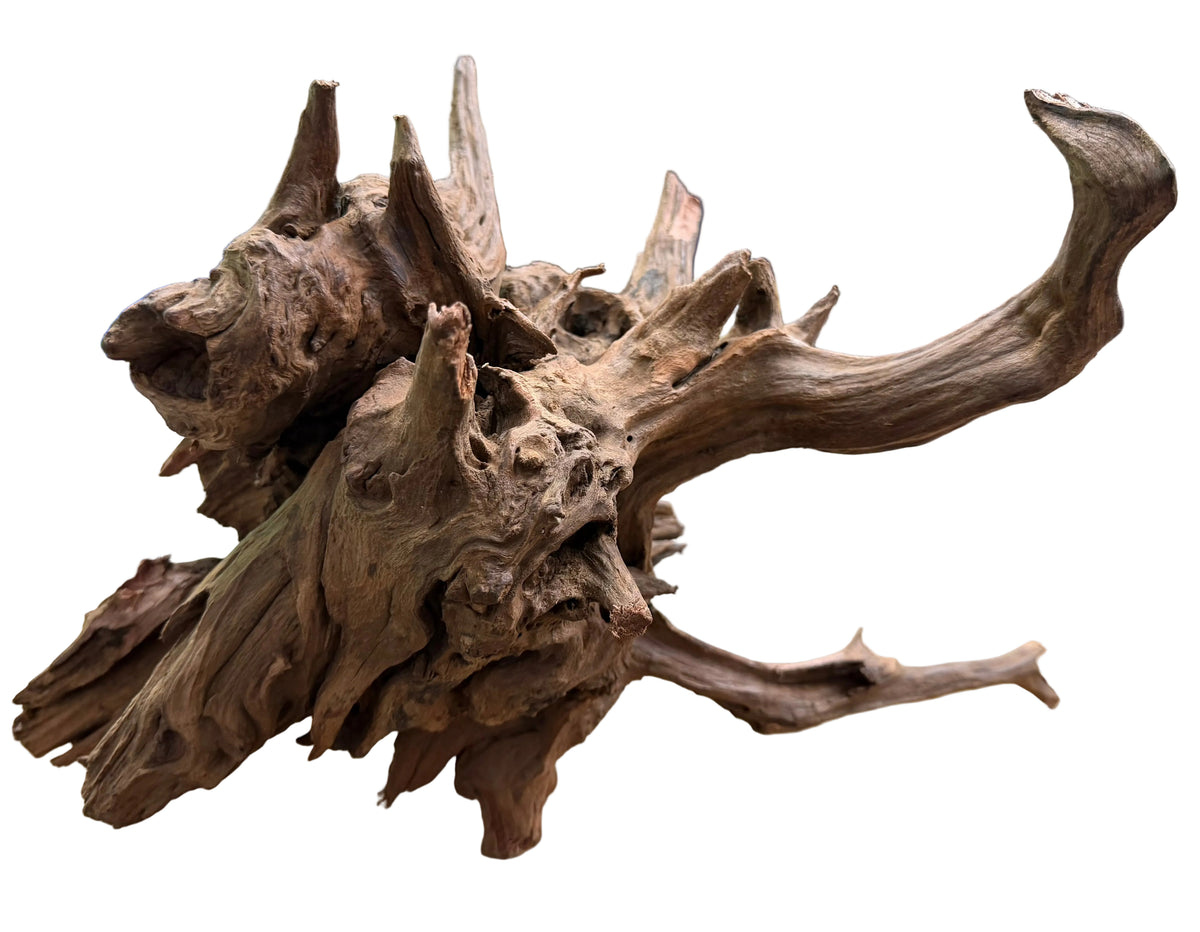 Malaysian Sinking Driftwood