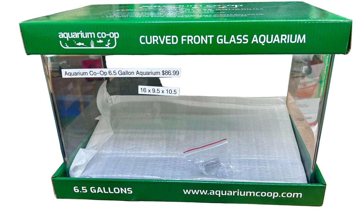 W.Y.S.I.W.Y.G.- 213 - Aquarium Co-Op Curved Front Glass Aquarium Rimless 6.5 gallon | Aquariums | Largest Tropical Fish Selection at Your Local Fish Store