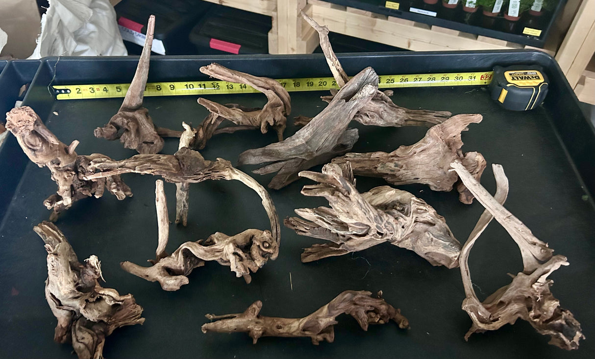 W.Y.S.I.W.Y.G.- 425 - Malaysian Mangrove Wood 12 pieces