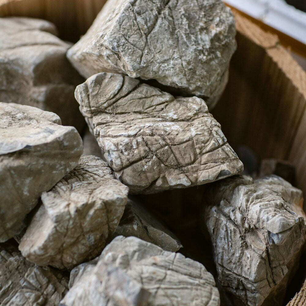 Ancient Elephant Skin Stone | Substrates & Hardscape | Largest Tropical Fish Selection at Your Local Fish Store