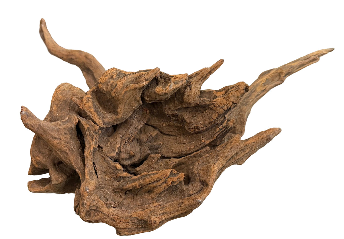 W.Y.S.I.W.Y.G.- 611 -Large Piece of Spiderwood | Substrates & Hardscape | Largest Tropical Fish Selection at Your Local Fish Store