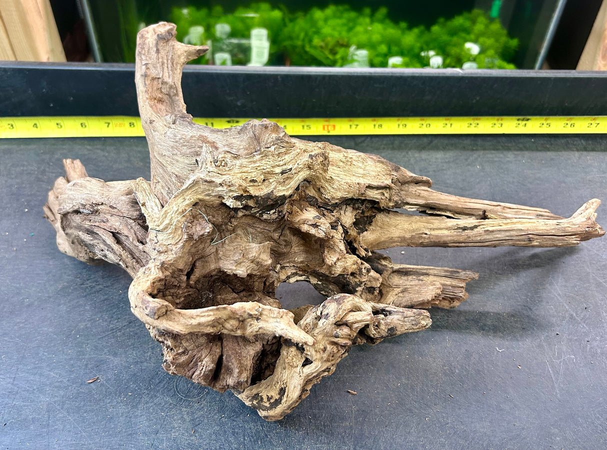 W.Y.S.I.W.Y.G.- 405 - Malaysian Mangrove Wood