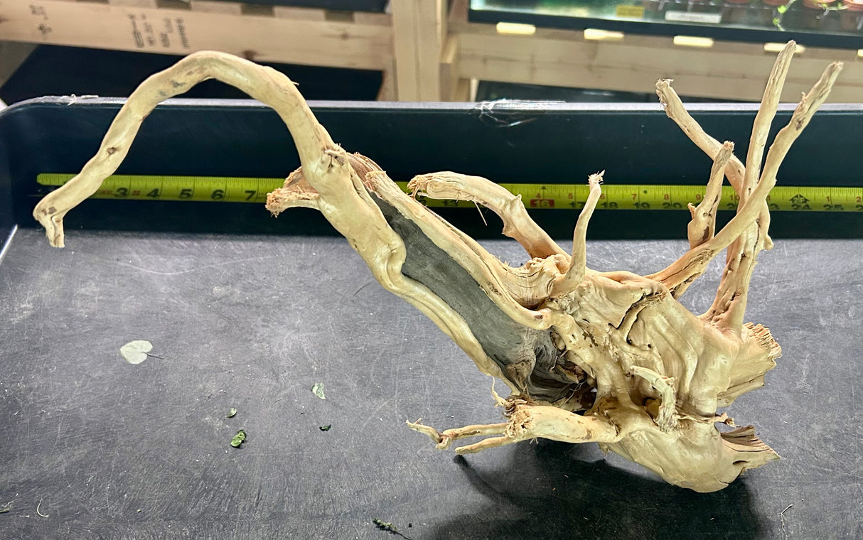 W.Y.S.I.W.Y.G.- 603 - Large Piece of Spiderwood