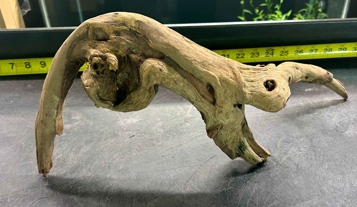 W.Y.S.I.W.Y.G.- 405 - Malaysian Mangrove Wood