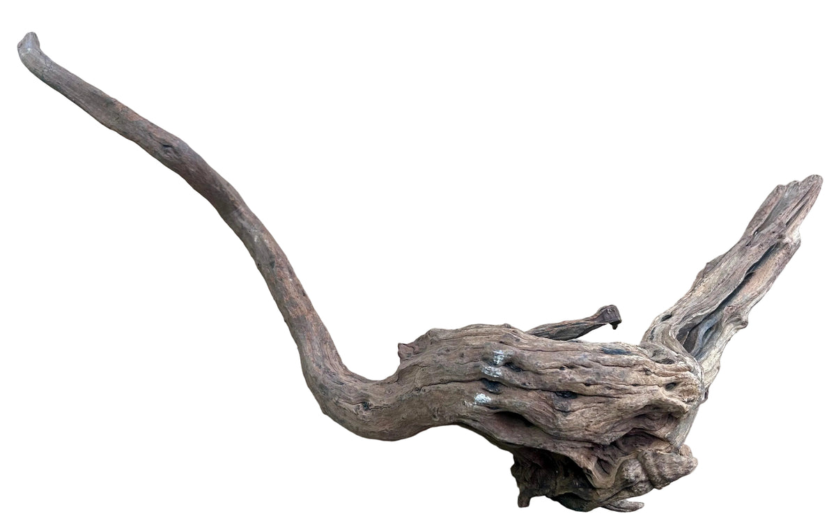 Malaysian Mangrove Wood