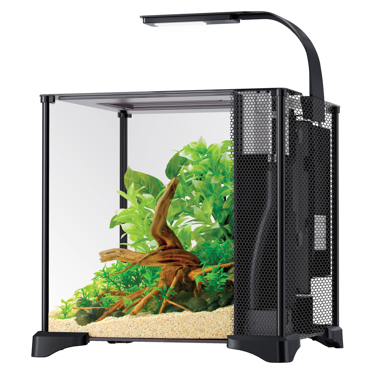 Fluval Betta Premium Aquarium Kit, 20 L (6 US Gal) | Aquariums | Largest Tropical Fish Selection at Your Local Fish Store