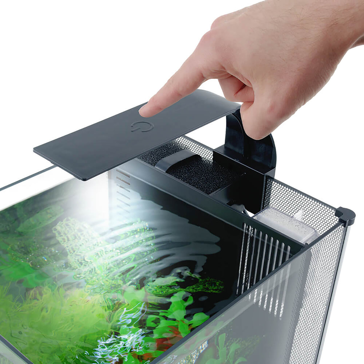 Fluval Betta Premium Aquarium Kit, 20 L (6 US Gal) | Aquariums | Largest Tropical Fish Selection at Your Local Fish Store