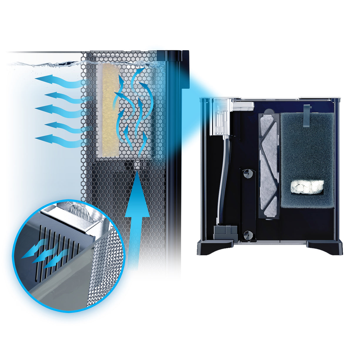 Fluval Betta Premium Aquarium Kit, 20 L (6 US Gal) | Aquariums | Largest Tropical Fish Selection at Your Local Fish Store