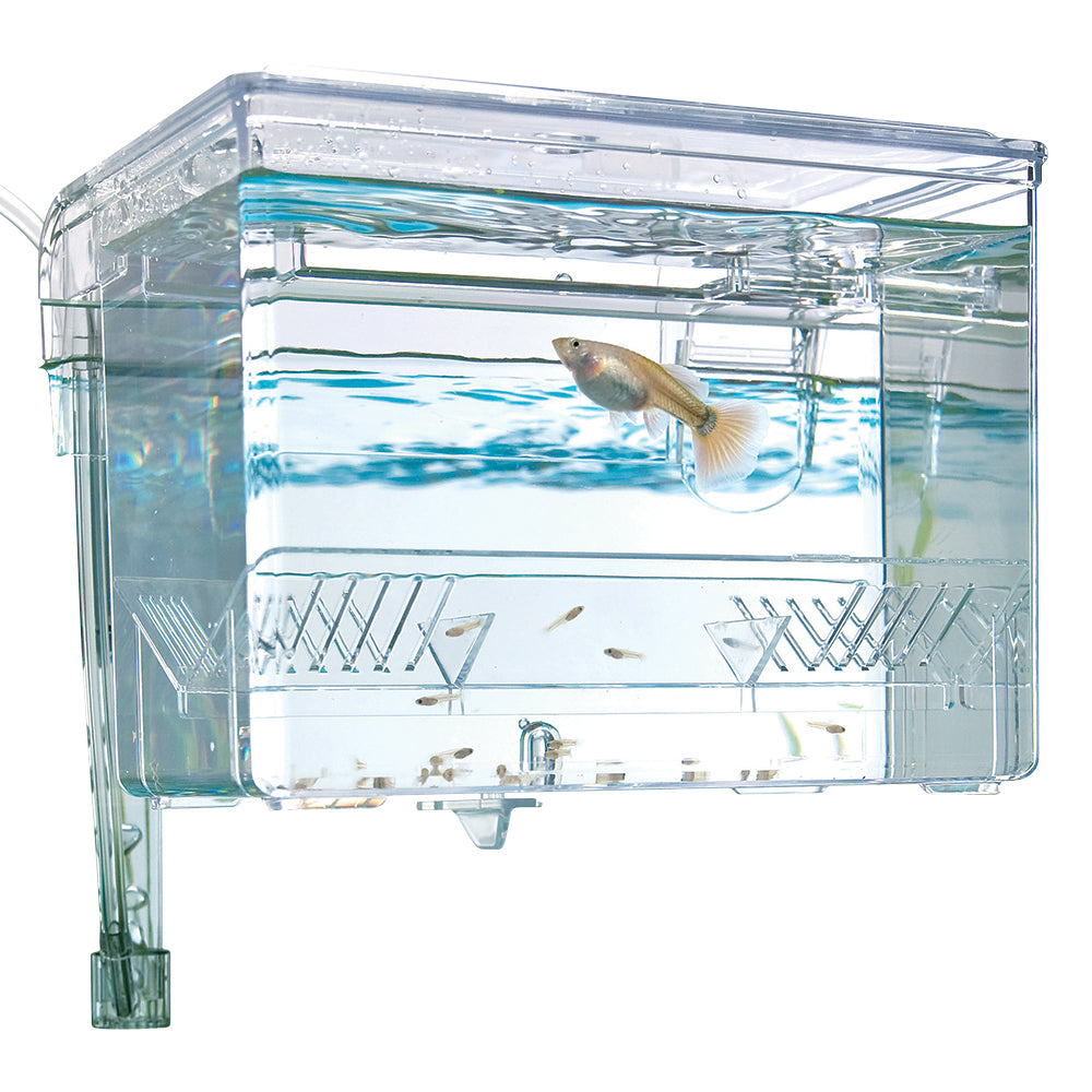 Fluval Hang-On Breeding Box - 10942