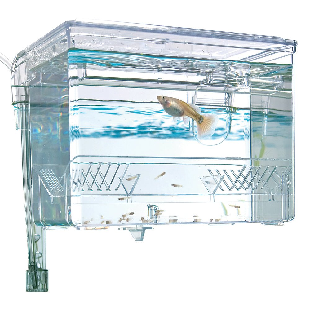 Fluval Hang-On Breeding Box - 10942