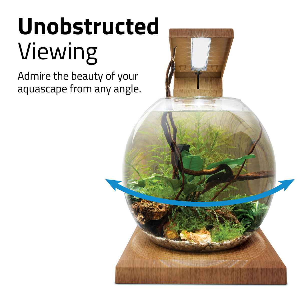 Fluval LIV Microscaping Aquarium Kit - (13" x 12.5") | Aquariums | Largest Tropical Fish Selection at Your Local Fish Store