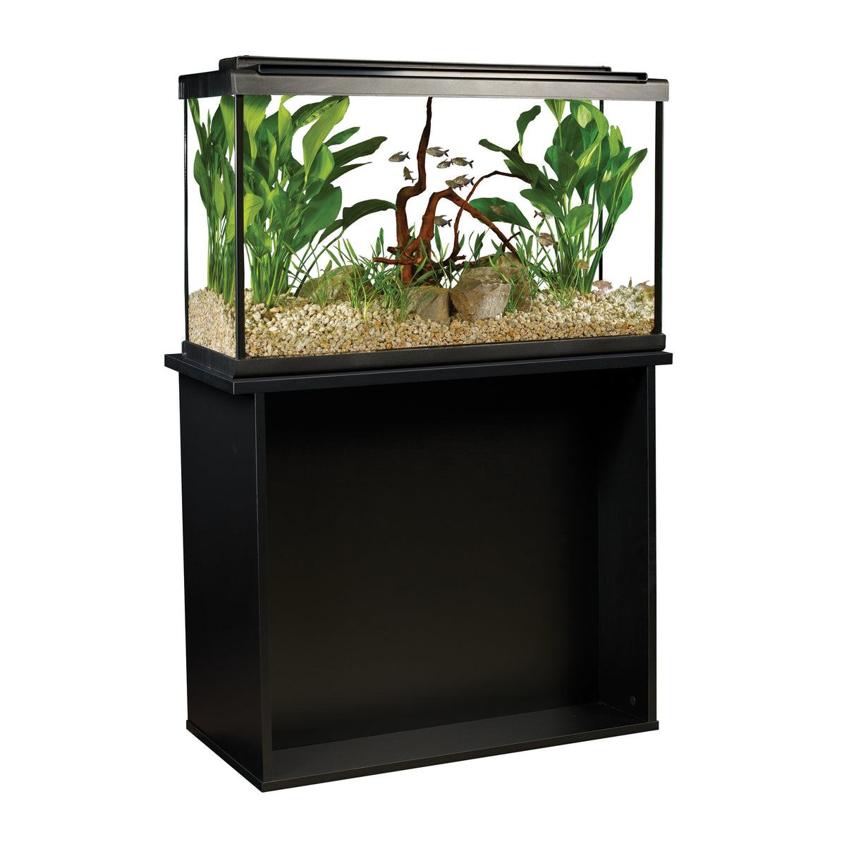 Fluval Premium Aquarium Kit with LED - 29 Tall - 110 L (29 US Gal) | Aquariums | Largest Tropical Fish Selection at Your Local Fish Store