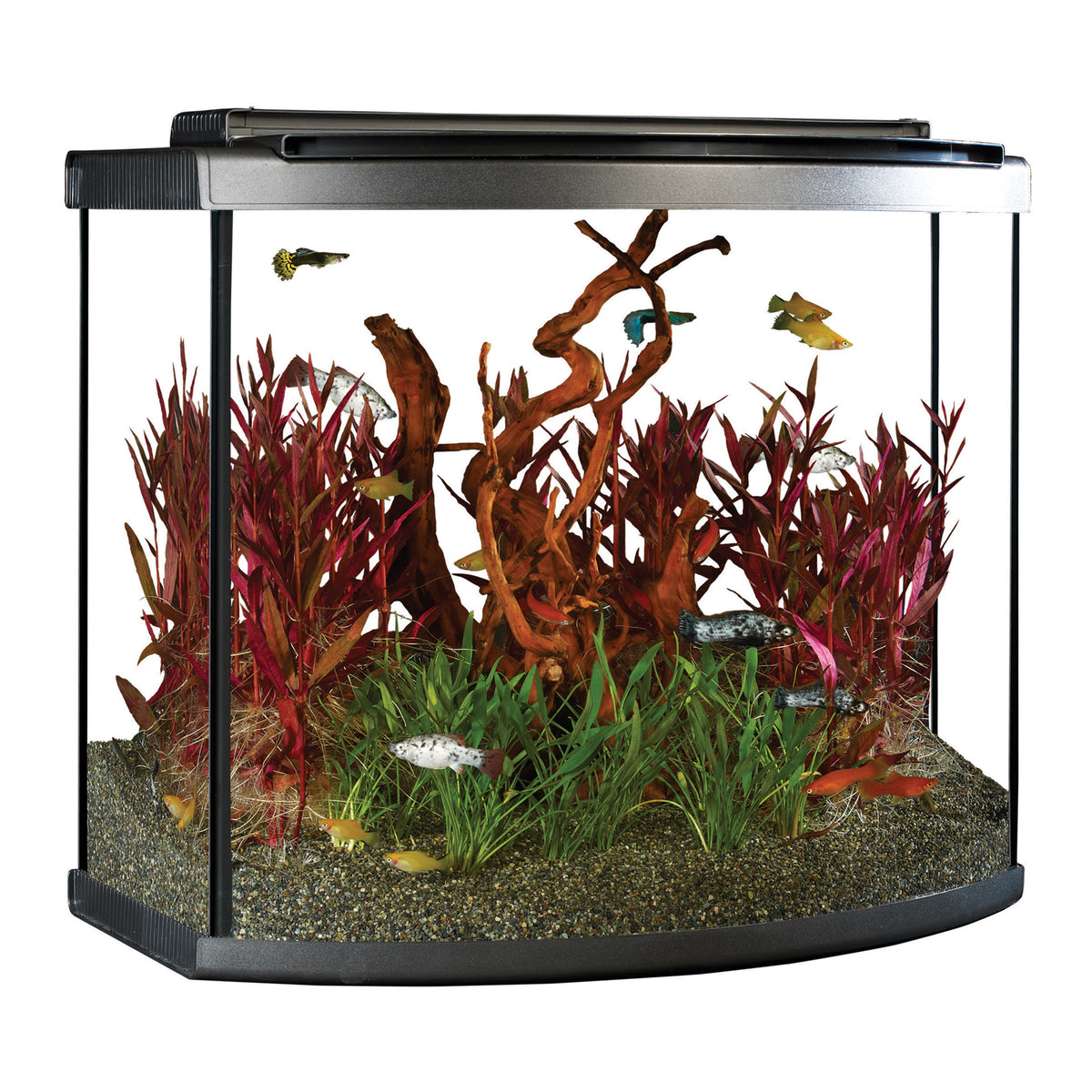Fluval Premium Aquarium Kit with LED - 26 Bow - 98 L (26 US Gal)