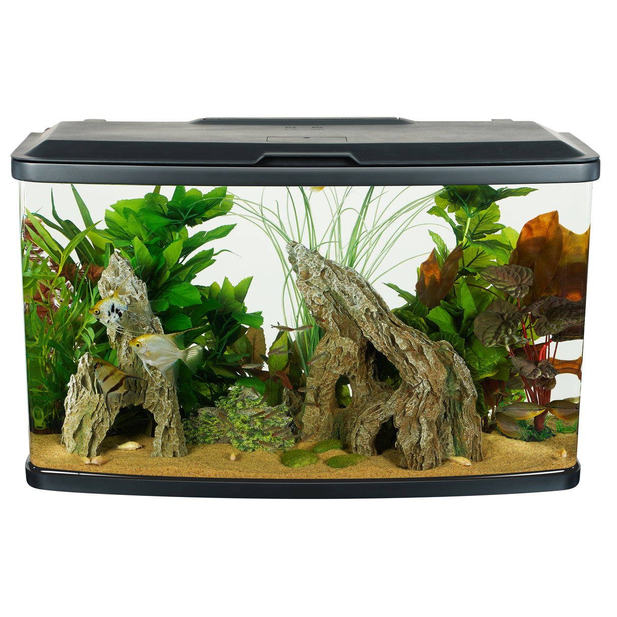 Fluval Vista Aquarium Kit 23 US gal (87L) | Aquariums | Largest Tropical Fish Selection at Your Local Fish Store