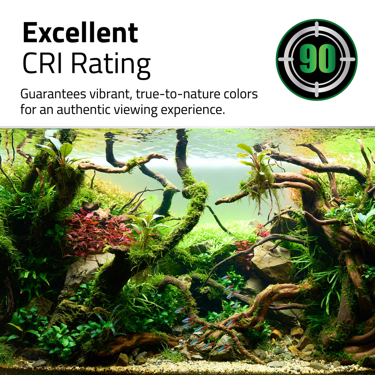 Fluval Plant 4.0 LED for Fresh & Planted Aquariums | Lighting & Heating | Largest Tropical Fish Selection at Your Local Fish Store