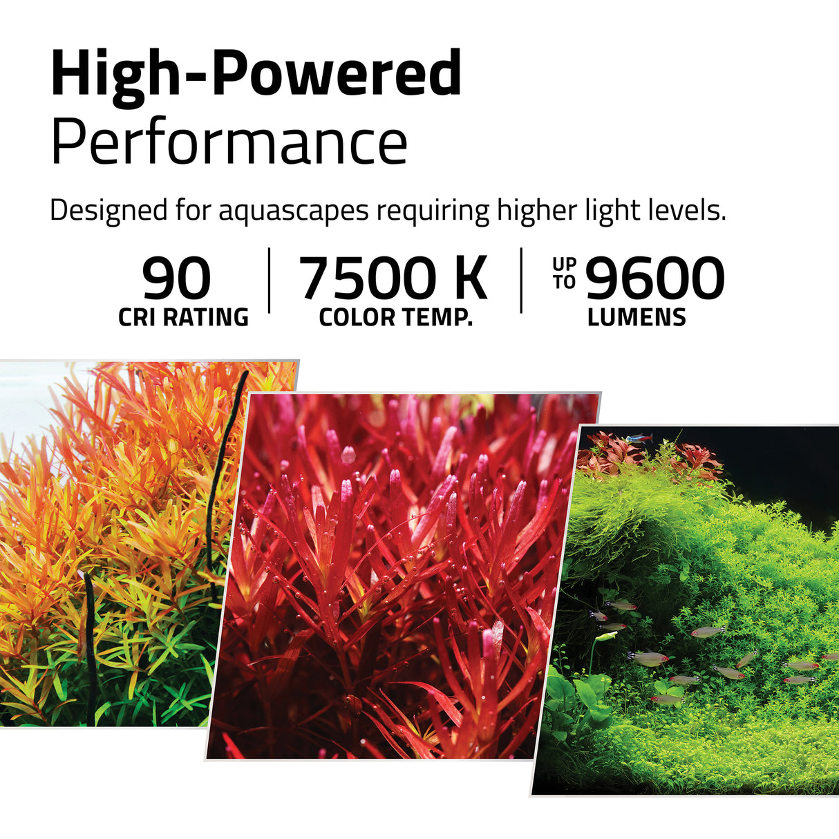 Fluval Plant Pro LED for Fresh & Planted Aquariums | Lighting & Heating | Largest Tropical Fish Selection at Your Local Fish Store