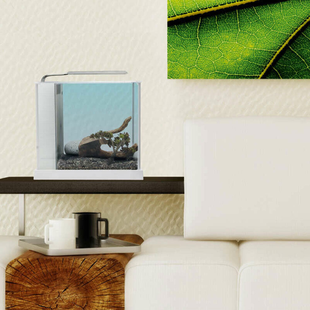 Fluval Spec Aquarium Kits | Aquariums | Largest Tropical Fish Selection at Your Local Fish Store