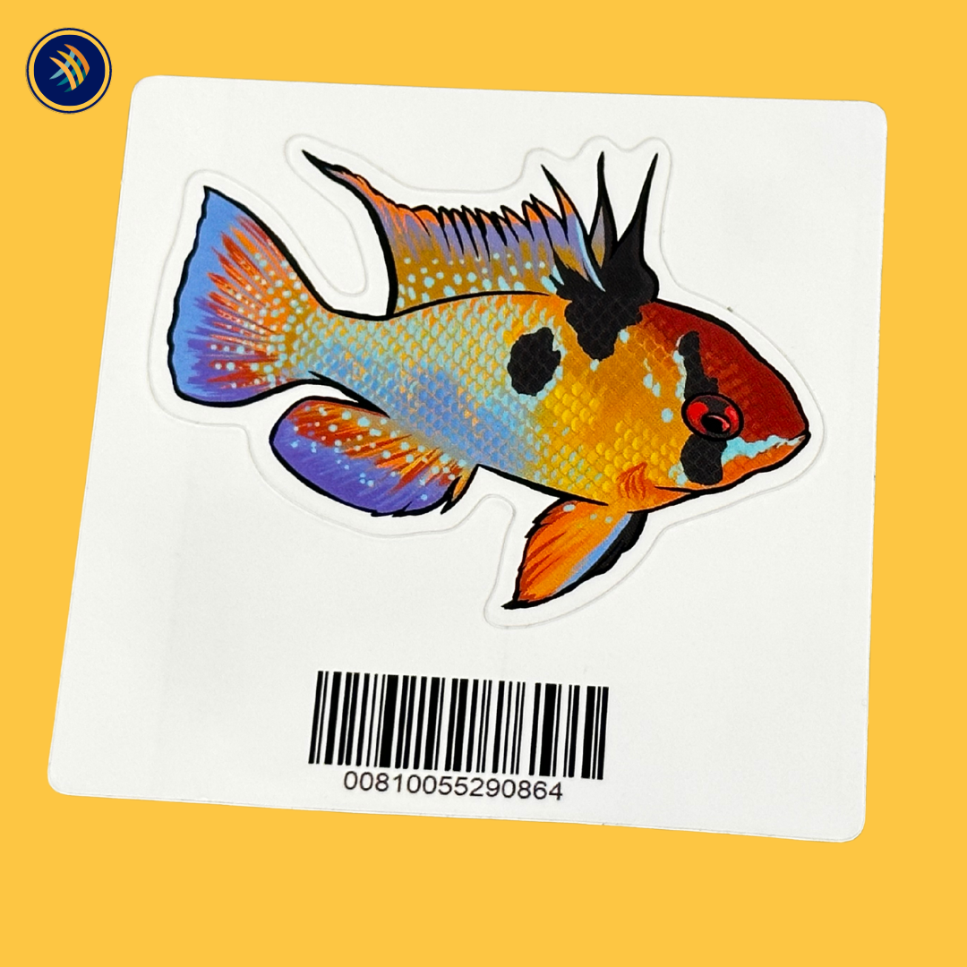 Aquarium Co-Op Fish Sticker Decals | Decoration | Largest Tropical Fish Selection at Your Local Fish Store