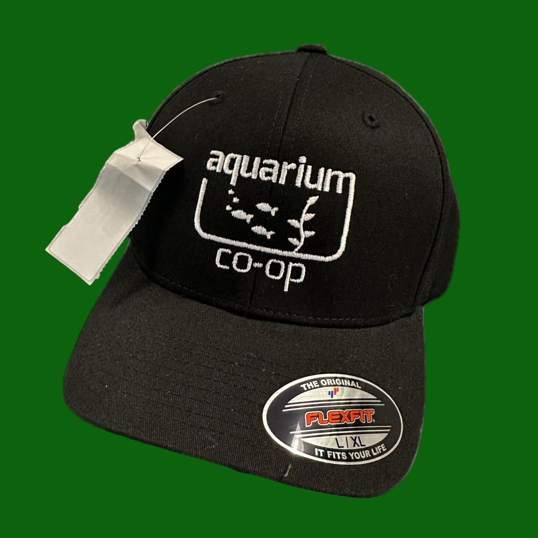 Aquarium Co-Op Black Baseball Cap | Aquarium Co-Op | Largest Tropical Fish Selection at Your Local Fish Store