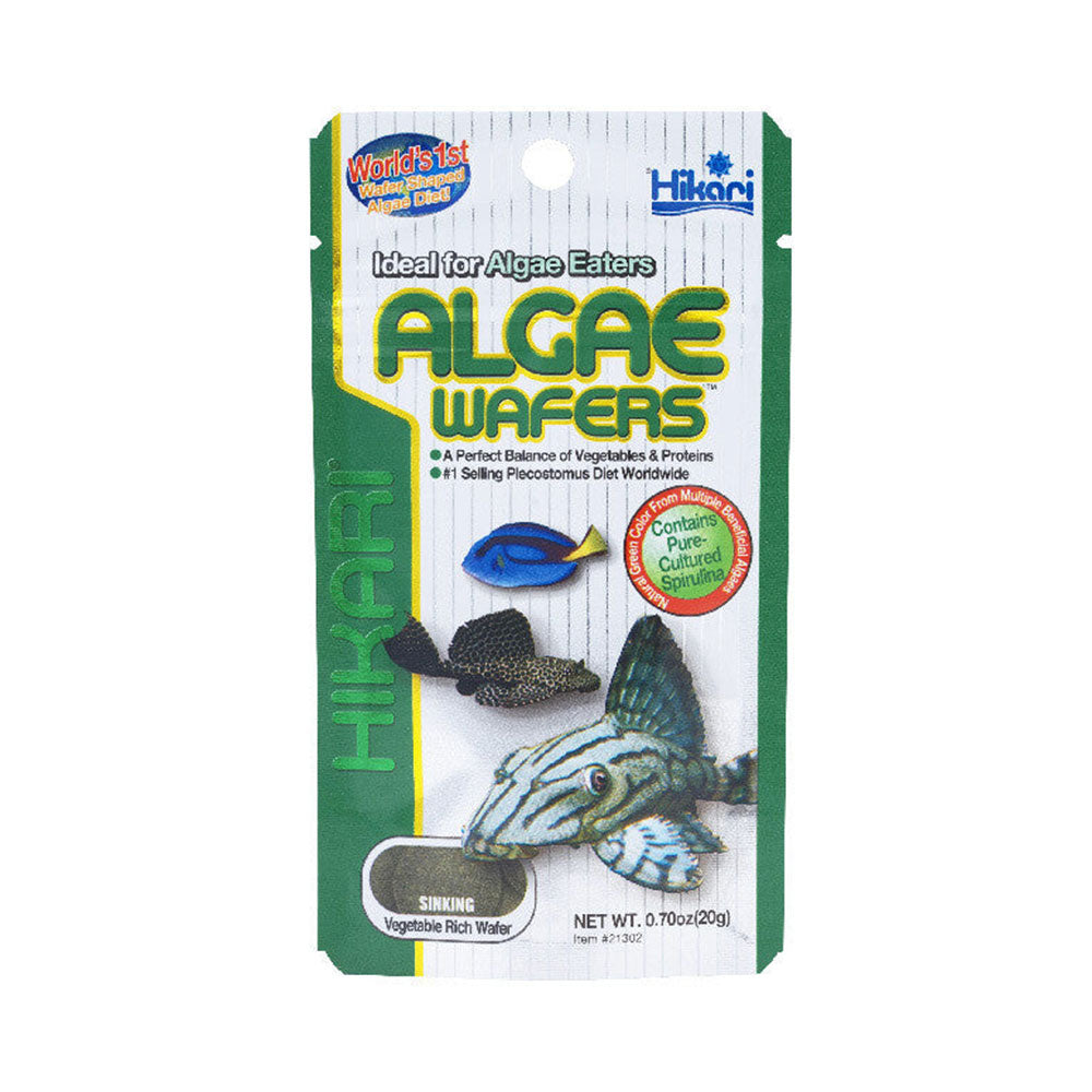 Hikari Algae Wafers | Livestock Food | Largest Tropical Fish Selection at Your Local Fish Store