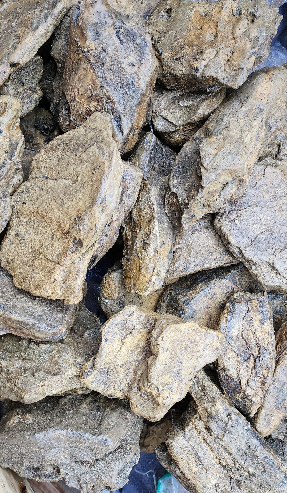 Layer Stone/Rock per LB | Substrates & Hardscape | Largest Tropical Fish Selection at Your Local Fish Store