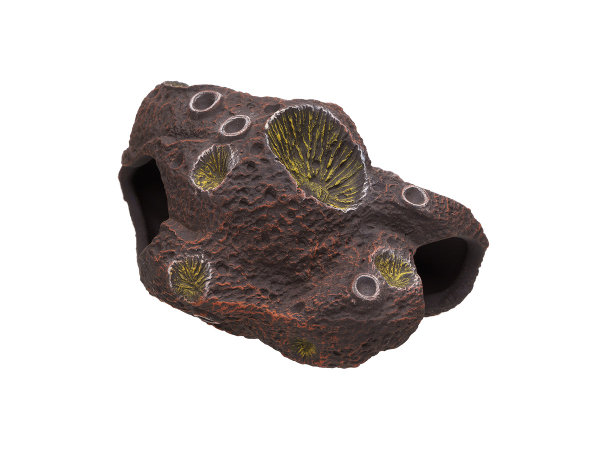 Pleco Ceramics Meteorite Cichlid stone | Decoration | Largest Tropical Fish Selection at Your Local Fish Store