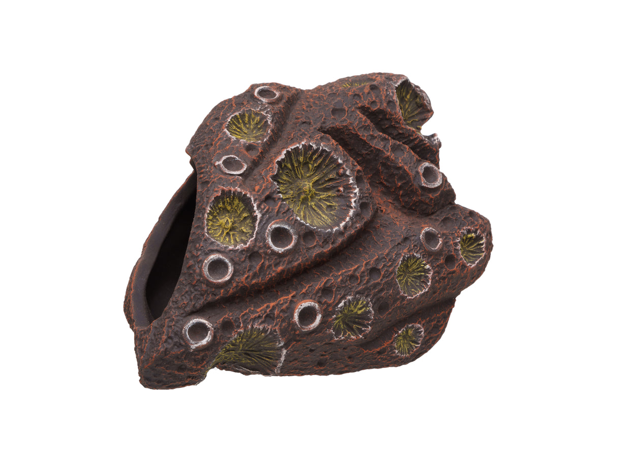 Pleco Ceramics Meteorite Cichlid stone | Decoration | Largest Tropical Fish Selection at Your Local Fish Store