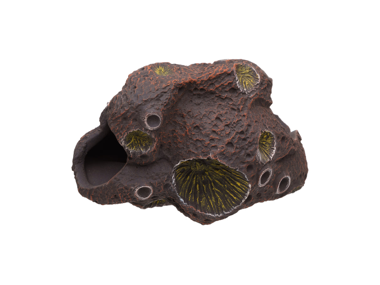 Pleco Ceramics Meteorite Cichlid stone | Decoration | Largest Tropical Fish Selection at Your Local Fish Store