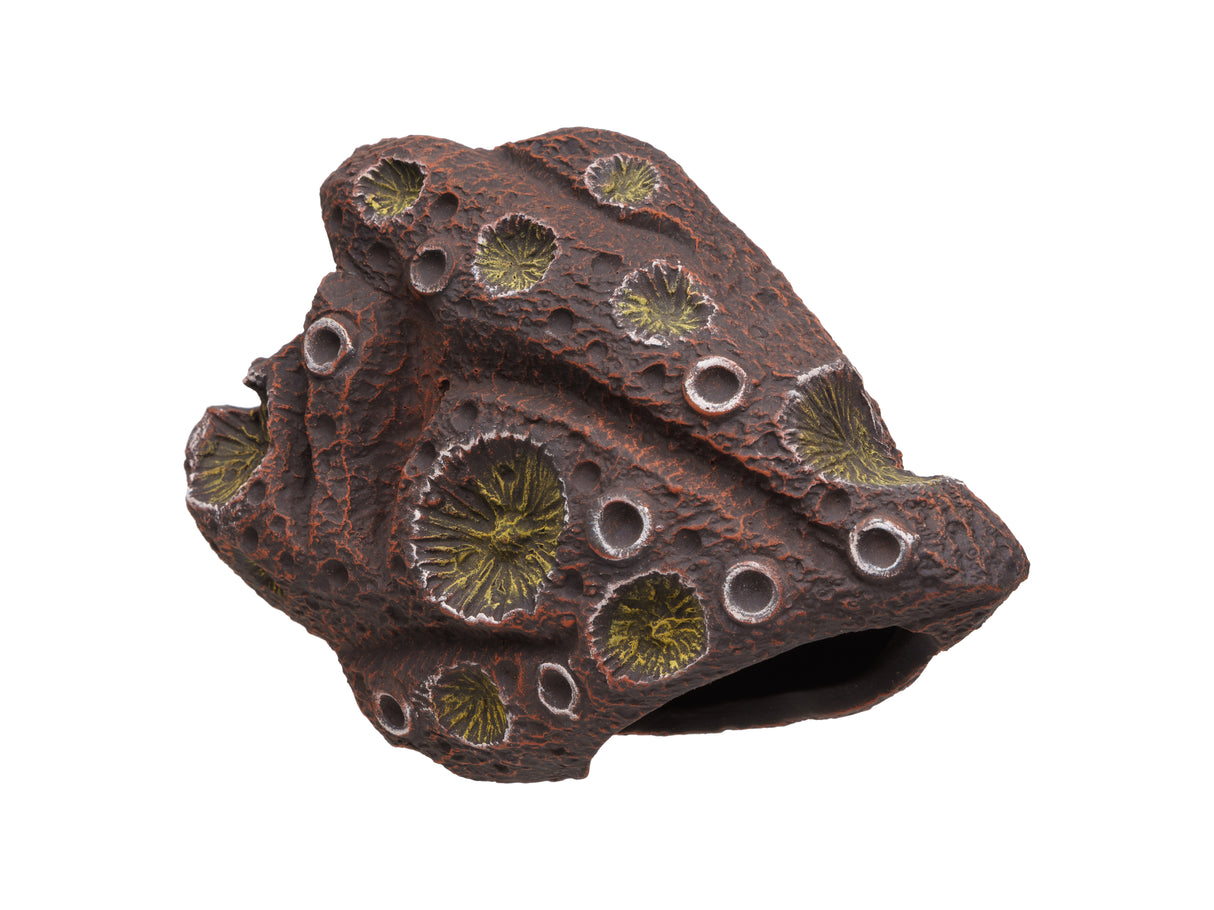 Pleco Ceramics Meteorite Cichlid stone | Decoration | Largest Tropical Fish Selection at Your Local Fish Store