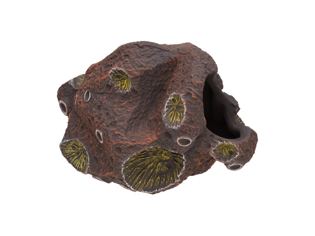 Pleco Ceramics Meteorite Cichlid stone | Decoration | Largest Tropical Fish Selection at Your Local Fish Store