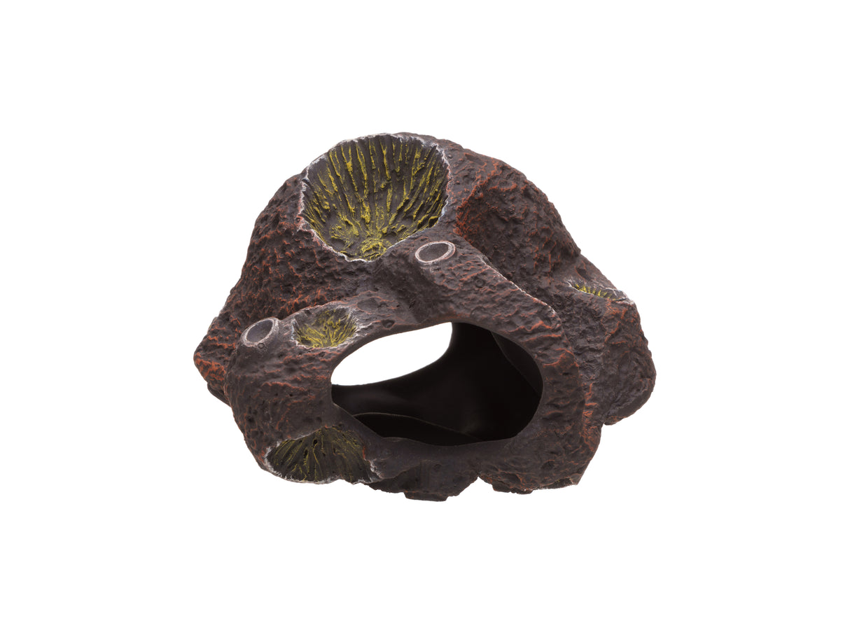 Pleco Ceramics Meteorite Cichlid stone | Decoration | Largest Tropical Fish Selection at Your Local Fish Store