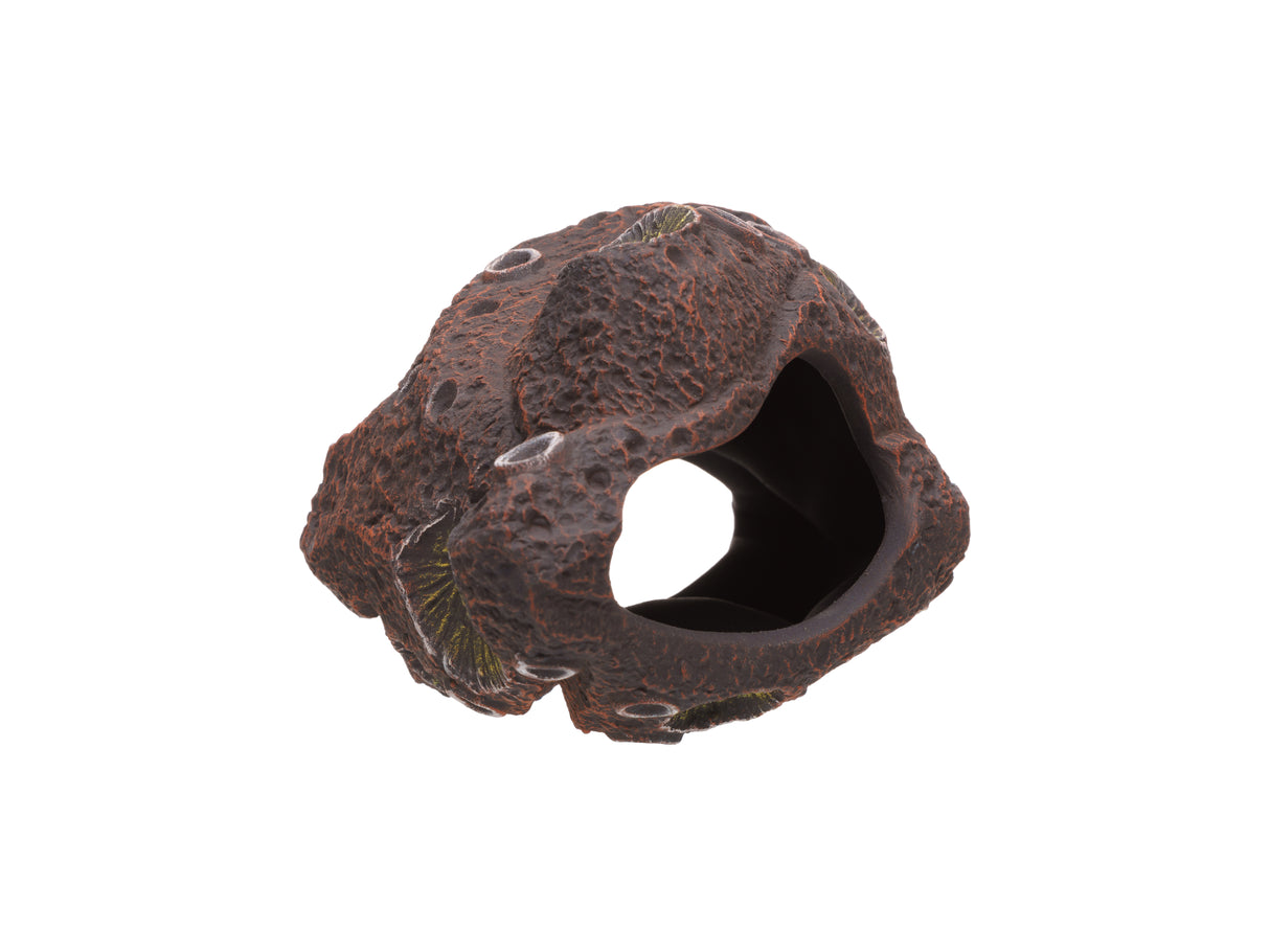 Pleco Ceramics Meteorite Cichlid stone | Decoration | Largest Tropical Fish Selection at Your Local Fish Store