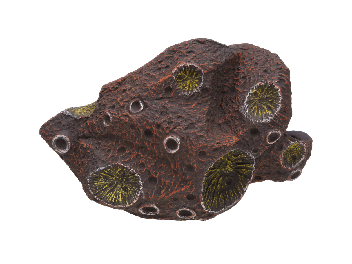 Pleco Ceramics Meteorite Cichlid stone | Decoration | Largest Tropical Fish Selection at Your Local Fish Store