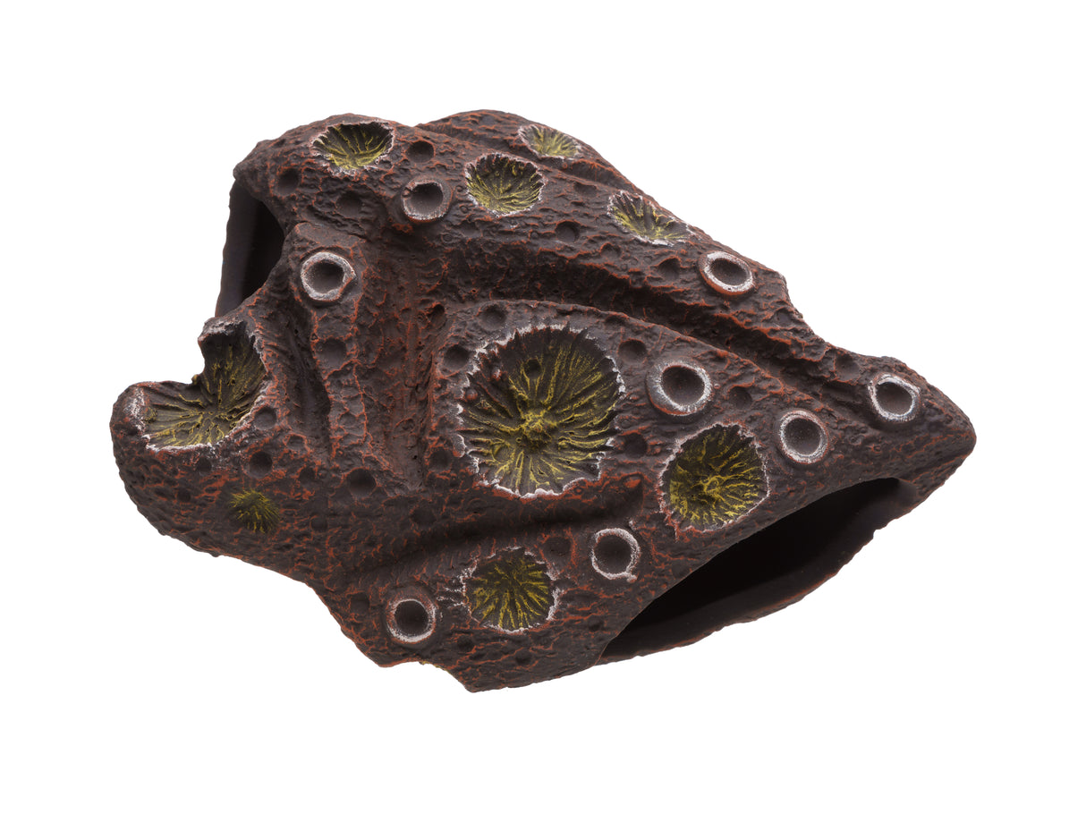 Pleco Ceramics Meteorite Cichlid stone | Decoration | Largest Tropical Fish Selection at Your Local Fish Store