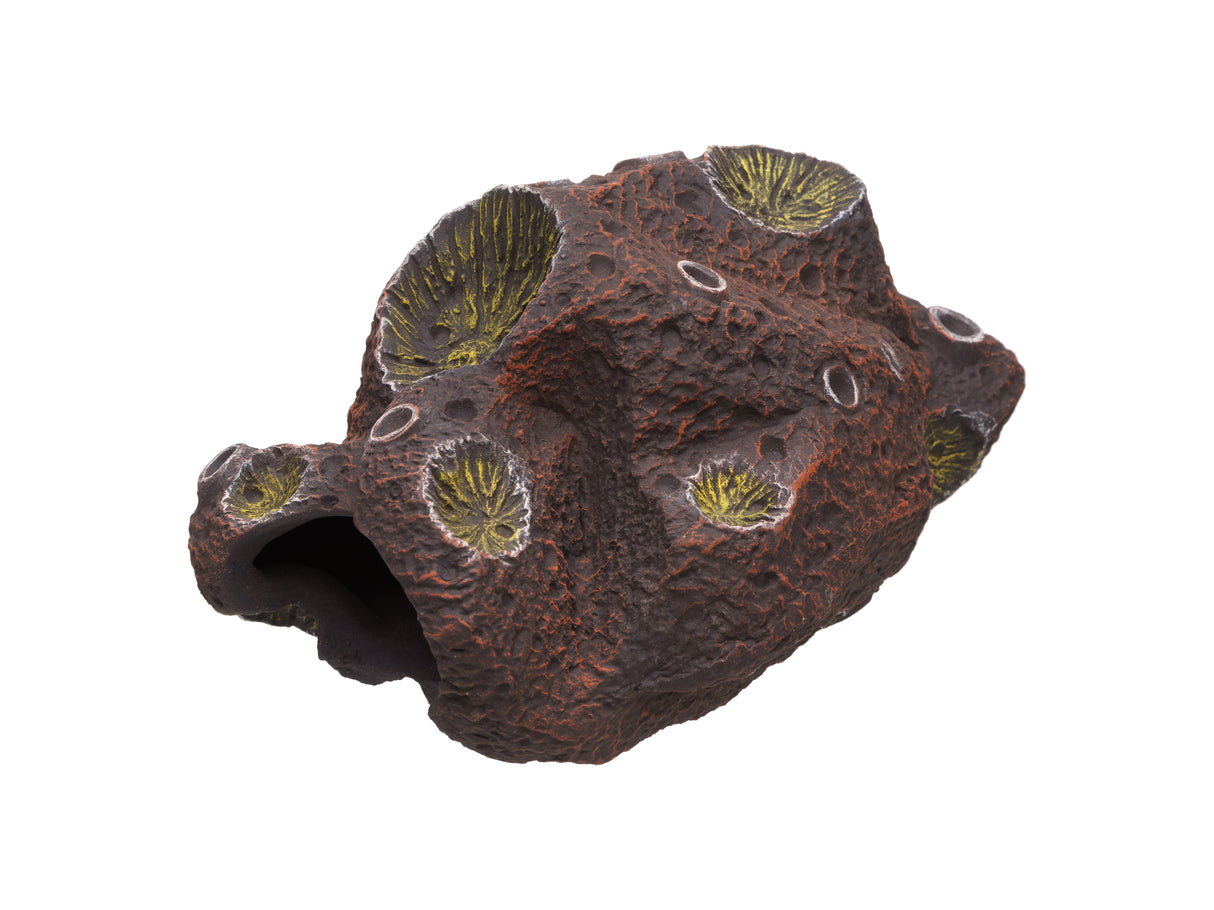 Pleco Ceramics Meteorite Cichlid stone | Decoration | Largest Tropical Fish Selection at Your Local Fish Store