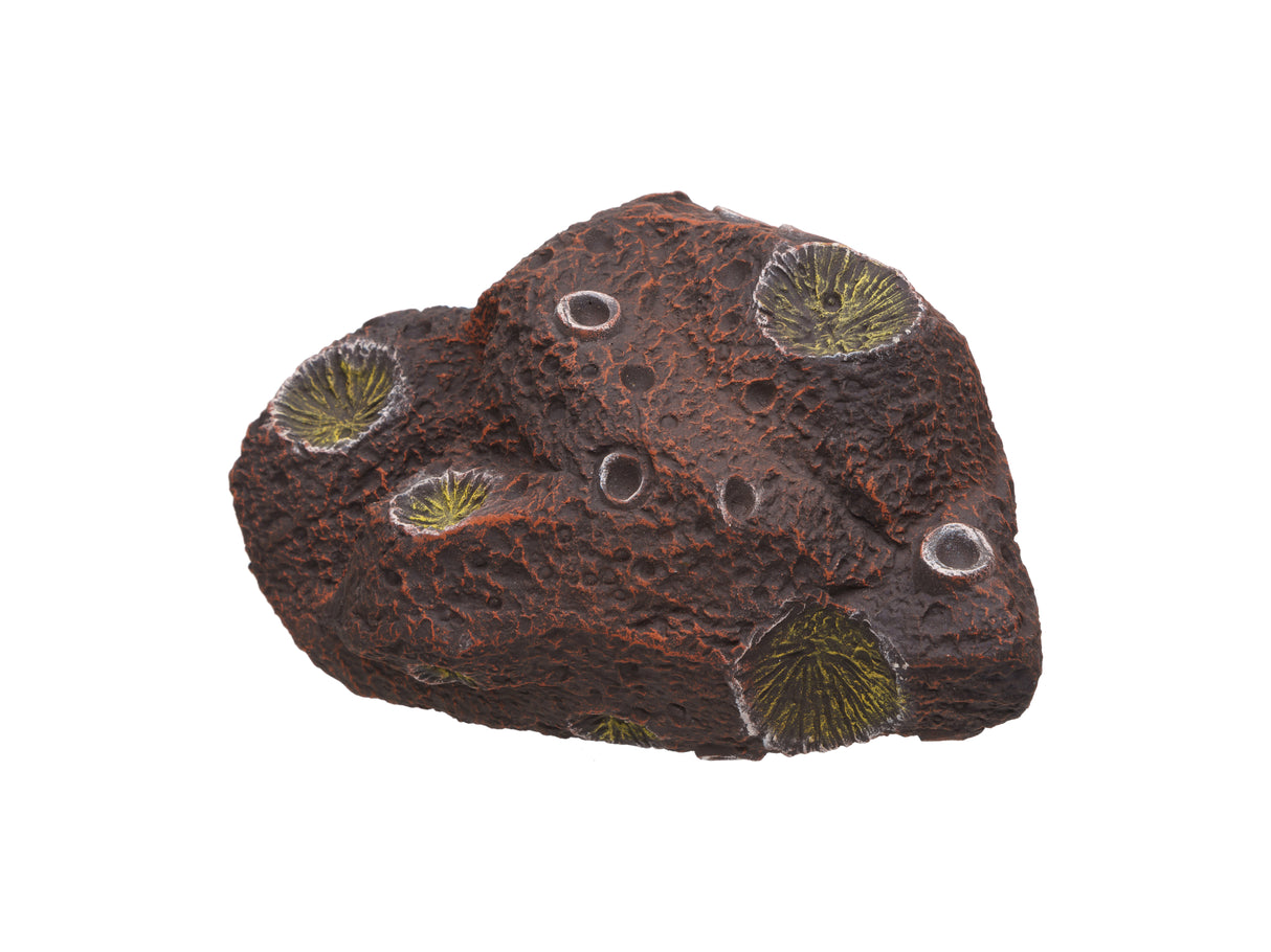 Pleco Ceramics Meteorite Cichlid stone | Decoration | Largest Tropical Fish Selection at Your Local Fish Store