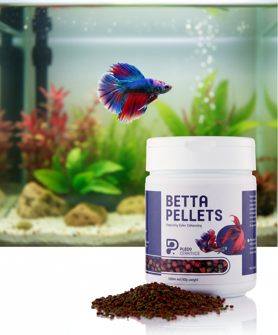 Pleco Ceramics Premium Floating Betta Pellets (colour enhancing) | Livestock Food | Largest Tropical Fish Selection at Your Local Fish Store