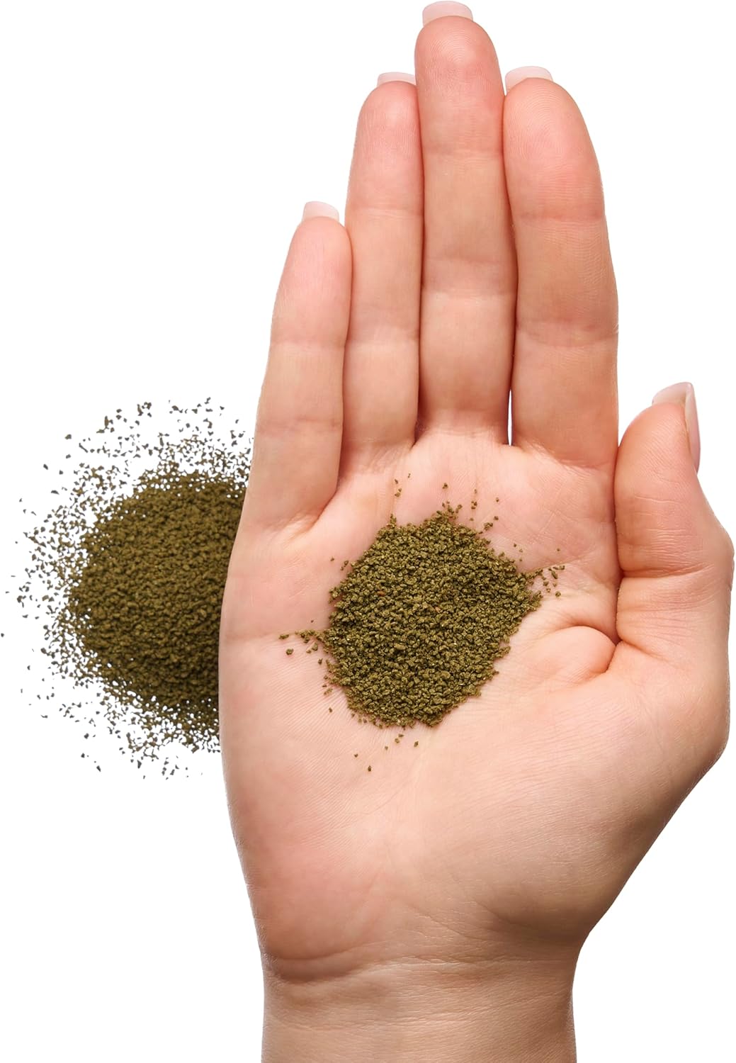 Pleco Ceramics Spirulina Granules 40g (slow sinking) | Livestock Food | Largest Tropical Fish Selection at Your Local Fish Store