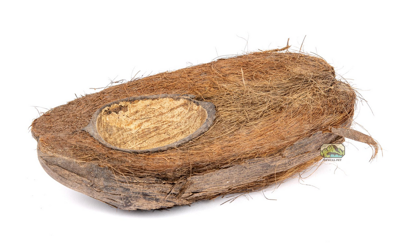 NewCal Coconut Half Bowl 8" | Botanicals | Largest Tropical Fish Selection at Your Local Fish Store