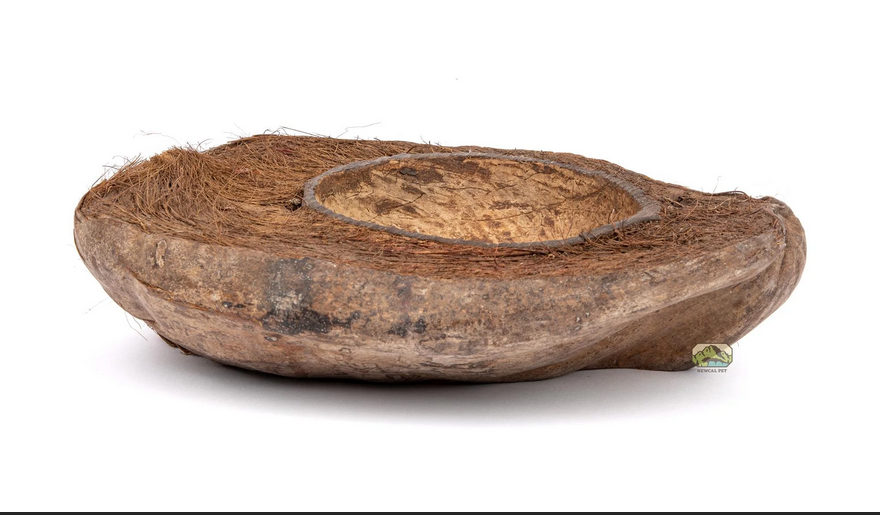 NewCal Coconut Half Bowl 8" | Botanicals | Largest Tropical Fish Selection at Your Local Fish Store