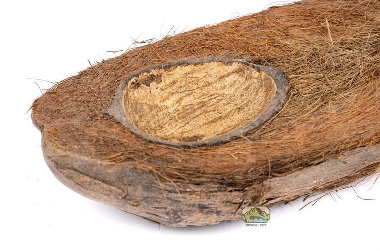 NewCal Coconut Half Bowl 8" | Botanicals | Largest Tropical Fish Selection at Your Local Fish Store