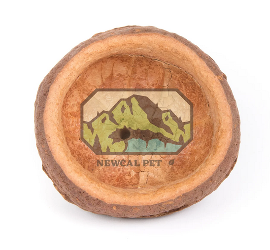 NewCal Monkey Pod (Chapeuzino) 3"-4" | Botanicals | Largest Tropical Fish Selection at Your Local Fish Store