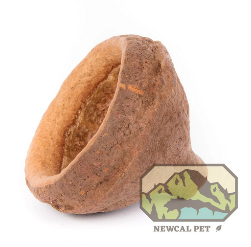 NewCal Monkey Pod (Chapeuzino) 3"-4" | Botanicals | Largest Tropical Fish Selection at Your Local Fish Store