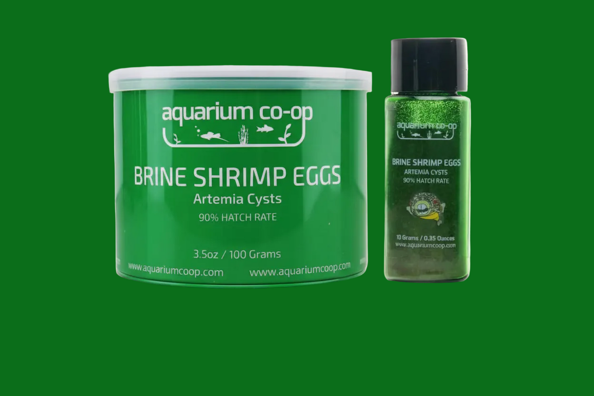 Aquarium Co-Op Brine Shrimp Eggs The Best and Cleanest Hatching Brine Shrimp on the Market