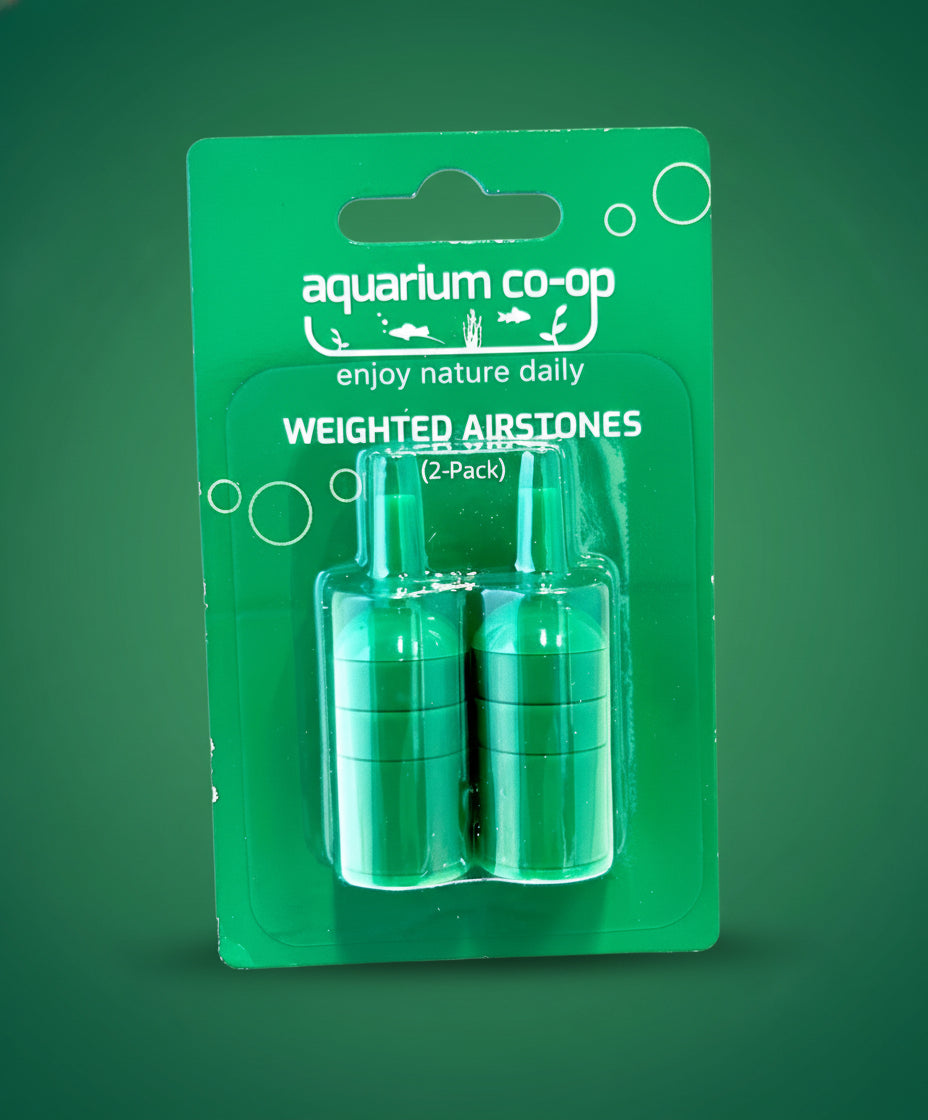 Aquarium Co-Op Weighted Air Stone (2 pack) | Filters & Accessories | Largest Tropical Fish Selection at Your Local Fish Store