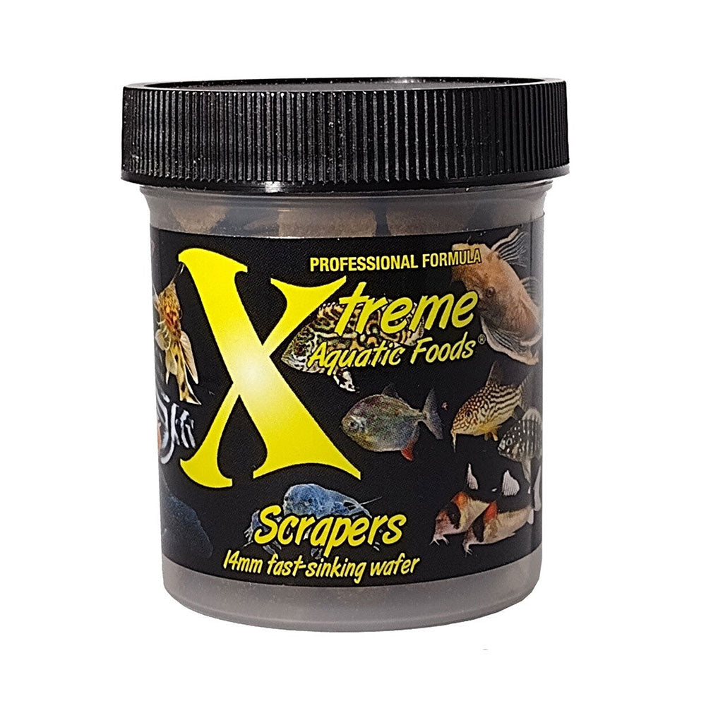 Xtreme Bottom Wafers Scrapers | Livestock Food | Largest Tropical Fish Selection at Your Local Fish Store
