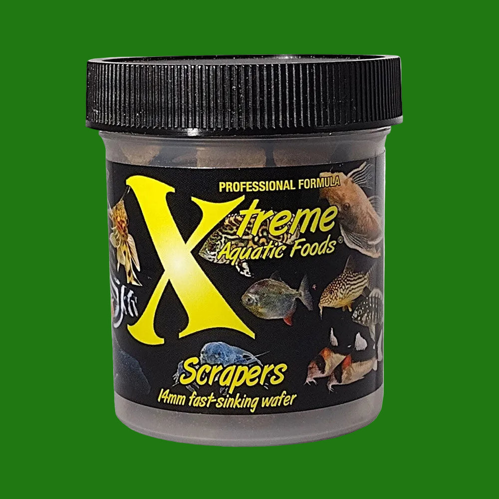 Xtreme Bottom Sinking Wafers / Scrapers | Livestock Food | Largest Tropical Fish Selection at Your Local Fish Store