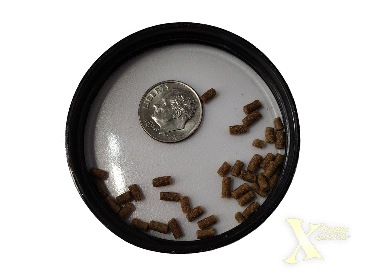 Xtreme Shrimpee | Livestock Food | Largest Tropical Fish Selection at Your Local Fish Store