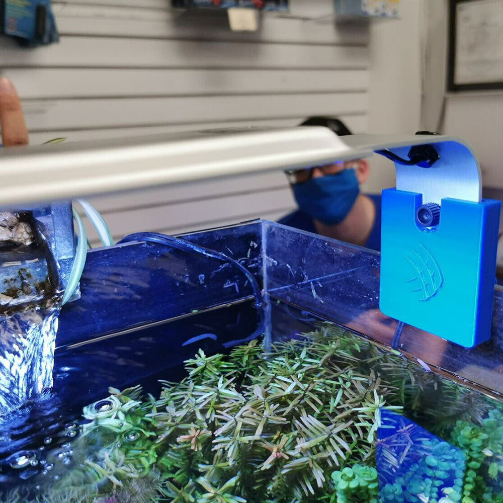 Your Local Fish Store Spec Light Fitting